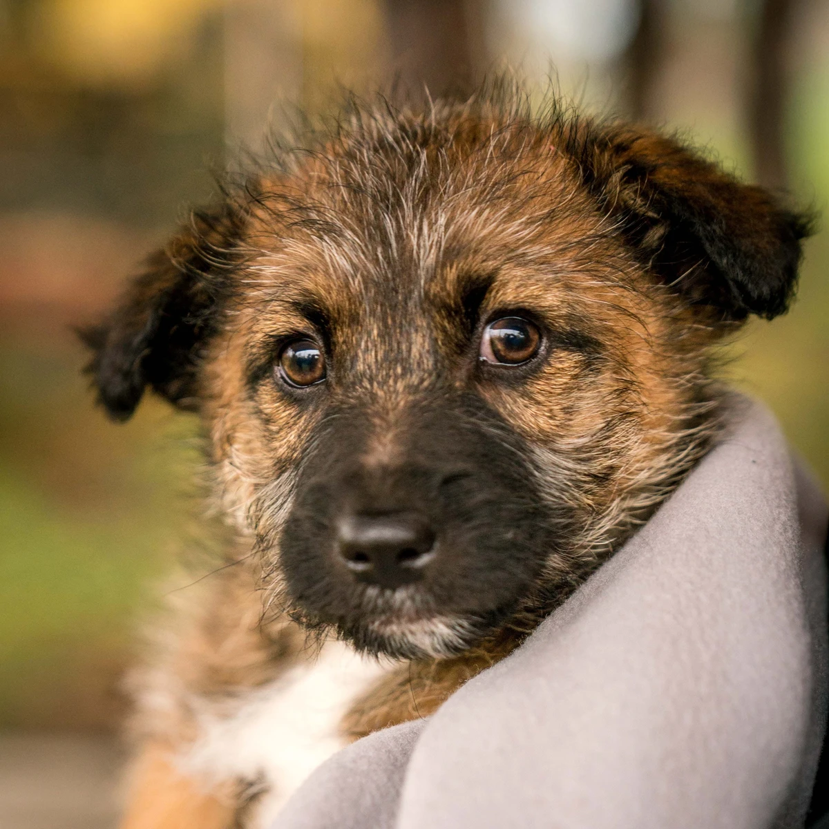 Na zdjęciu  Słodziki